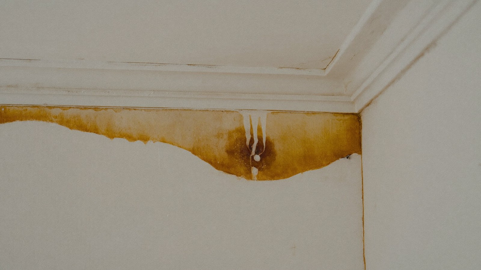 Mancha de humedad con borde oscuro extendiéndose por la unión entre techo y pared